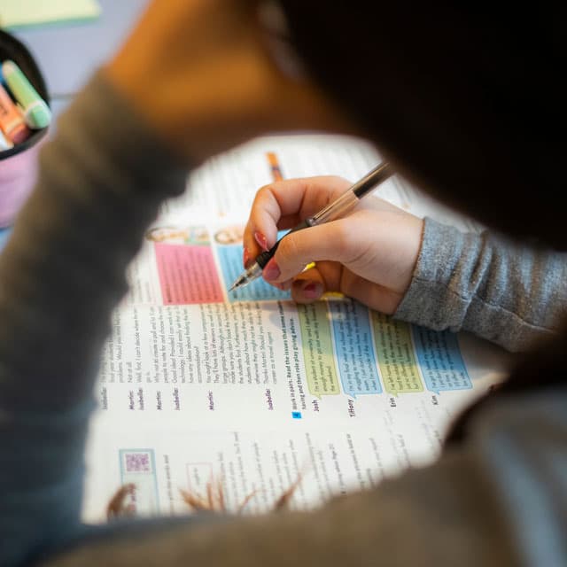 Especialistas en dificultades de aprendizaje y rendimiento escolar